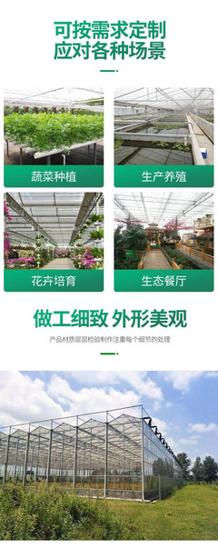 陽(yáng)光智能溫室BK11 現(xiàn)代玻璃溫室引領(lǐng)蔬菜種植新潮流